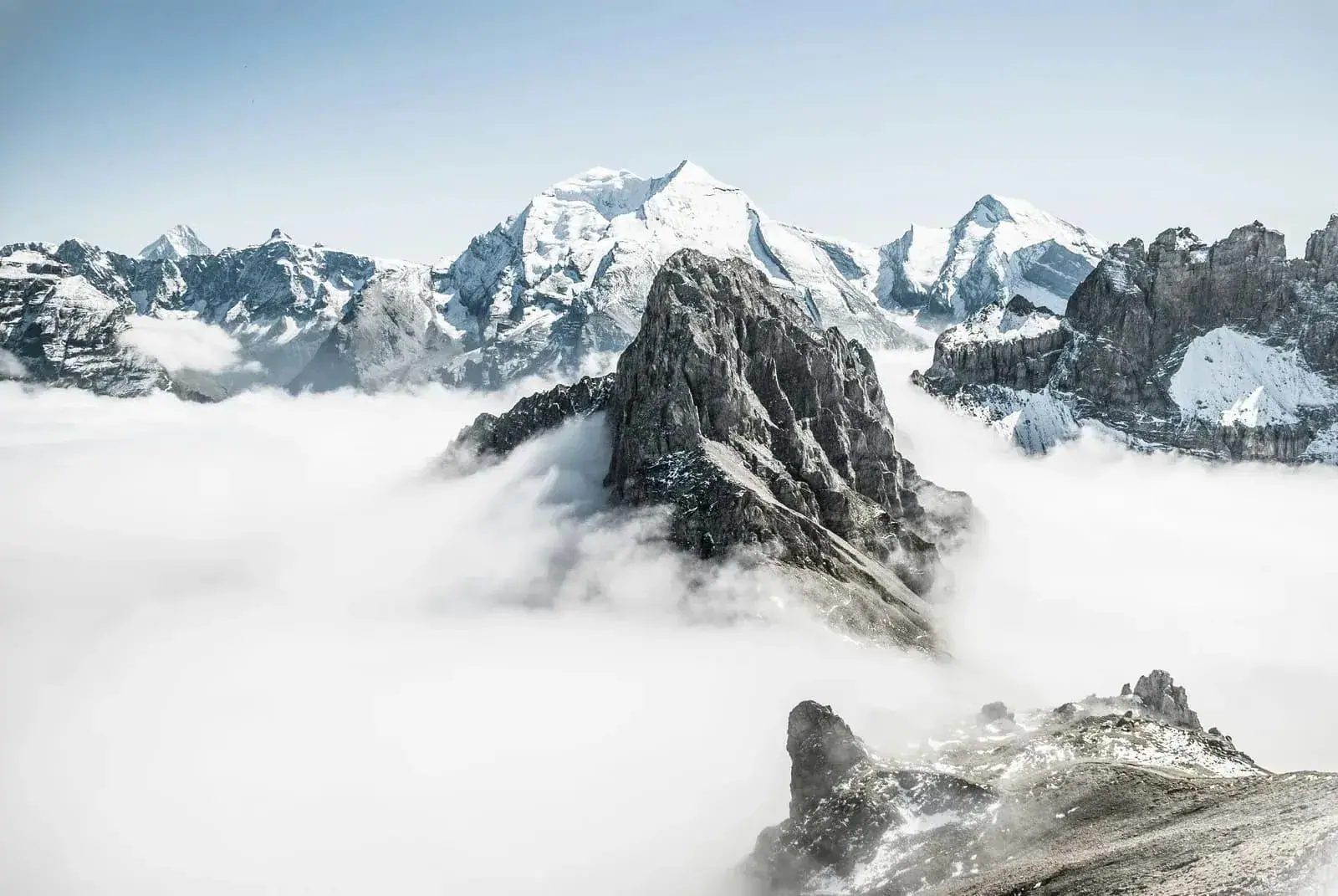 Vue aérienne d'une forêt luxuriante rejoignant un lac suisse turquoise